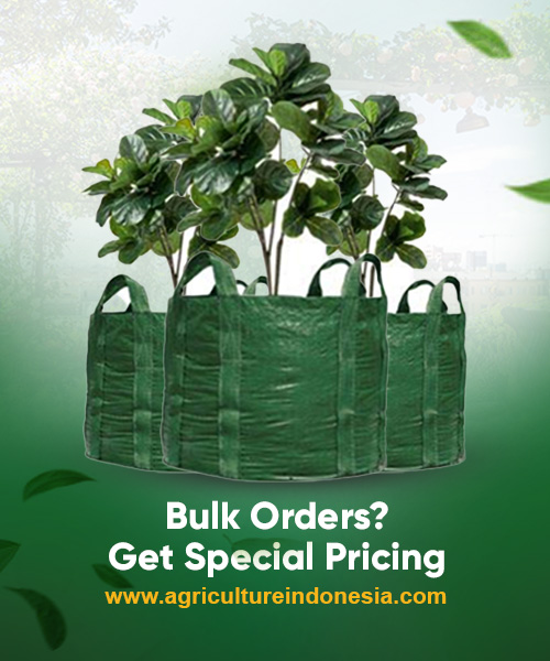 Bulk Order Get Special Price