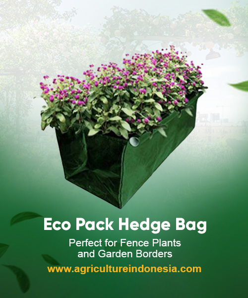 Eco Pack Hedge Bag