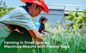 Farming in Small Spaces Maximize Results with Planter Bags