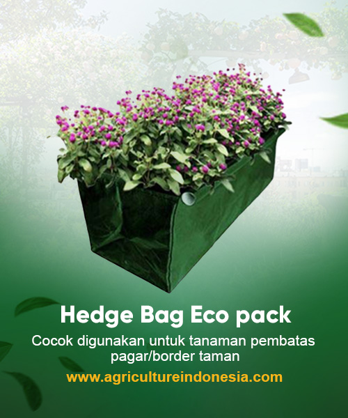 Hedge Bag Eco Pack
