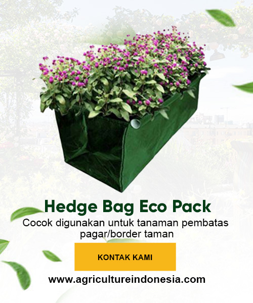 Order Hedge Bag