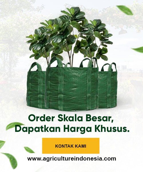 Order Plannter Bag