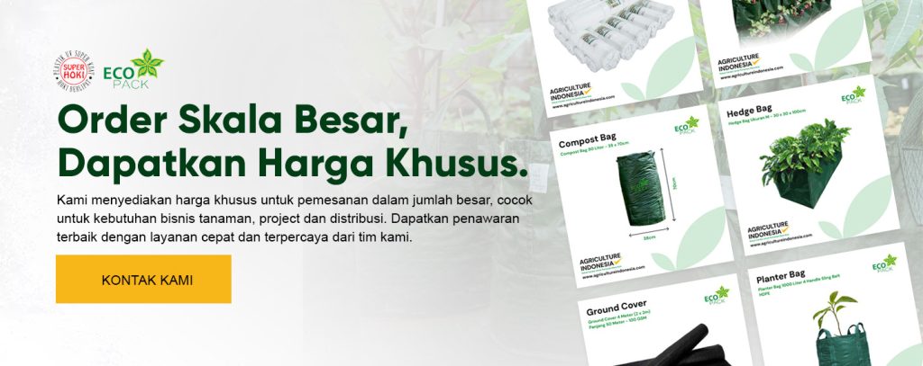 Order Skala Besar