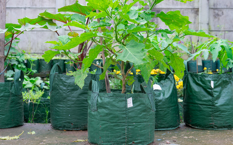 Planter Bag