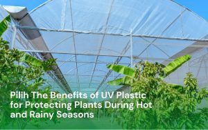 The Benefits of UV Plastic for Protecting Plants During Hot and Rainy Seasons
